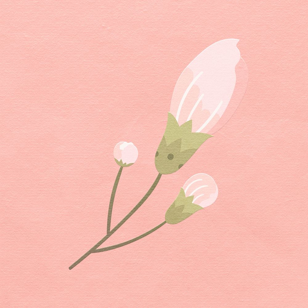 Pink sakura flower blooming psd design element