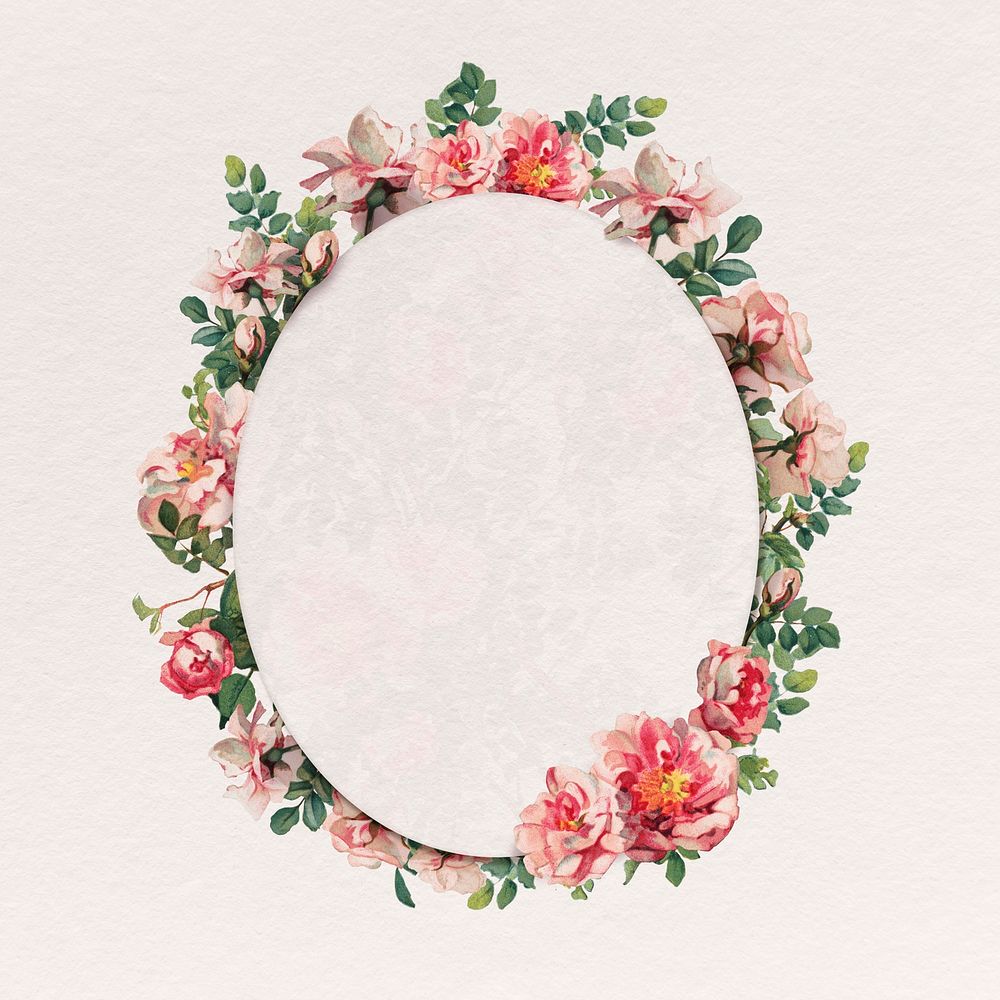 Pink rose flower frame psd botanical oval badge