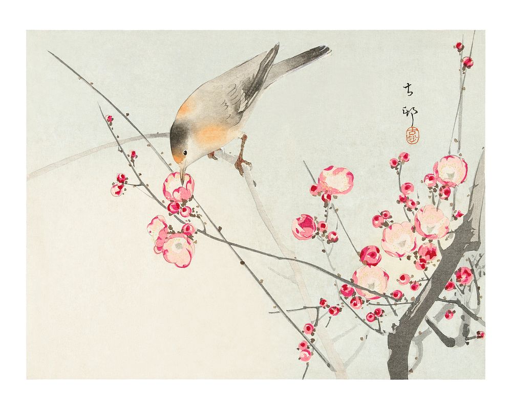 Ohara Koson bird painting, vintage Songbird on blossom branch wall art decor