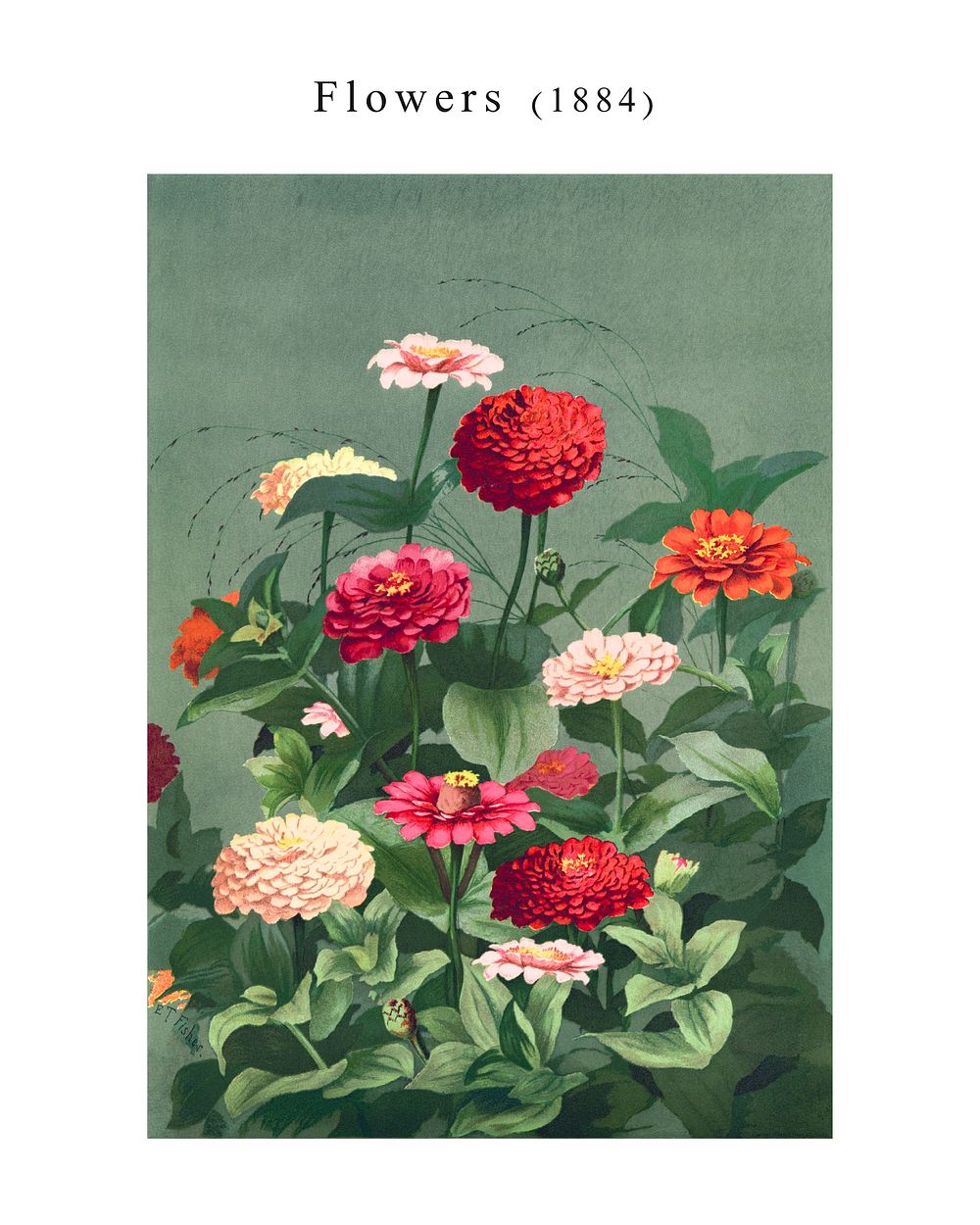 Red flowers wall art, vintage wall decor, painting illustration, enhanced from the artwork of L. Prang & Co