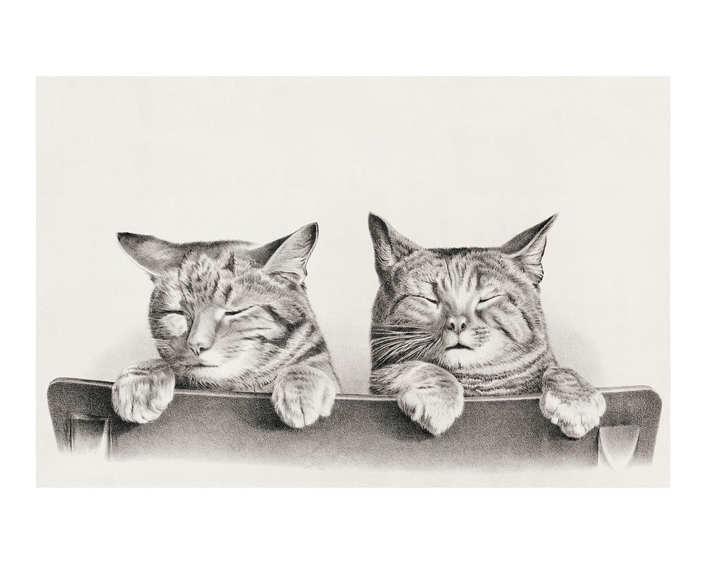Cats vintage wall art by Thomas Hunter. Original from Library of Congress. Digitally enhanced by rawpixel.