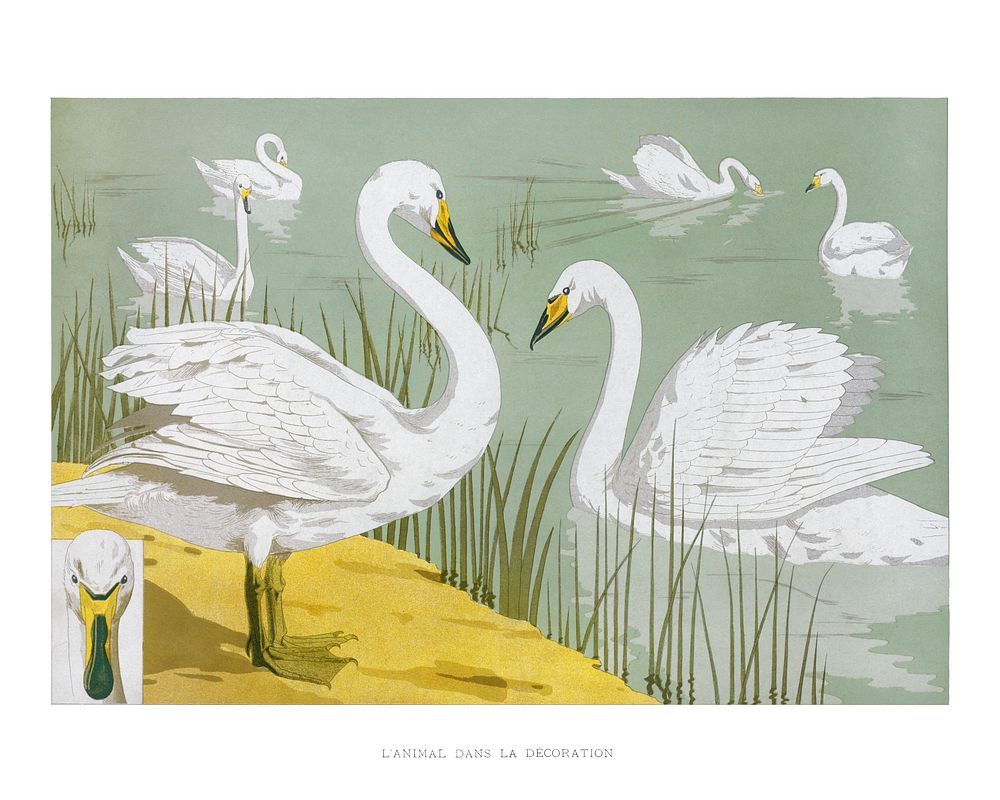 Swans wall art, vintage painting (1897) by Maurice Pillard Verneuil. Original from the The New York Public Library.…