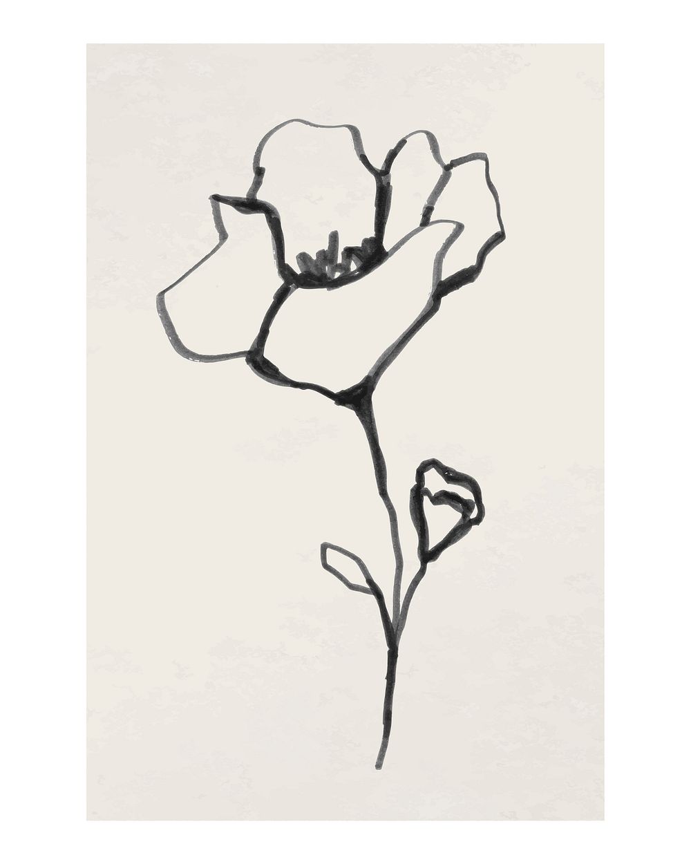 Flower minimal poster, ink line art design