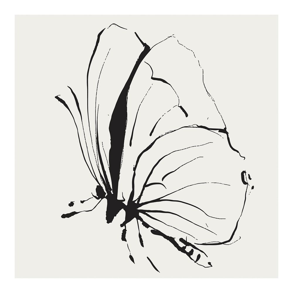 Butterfly art print, minimal ink drawing