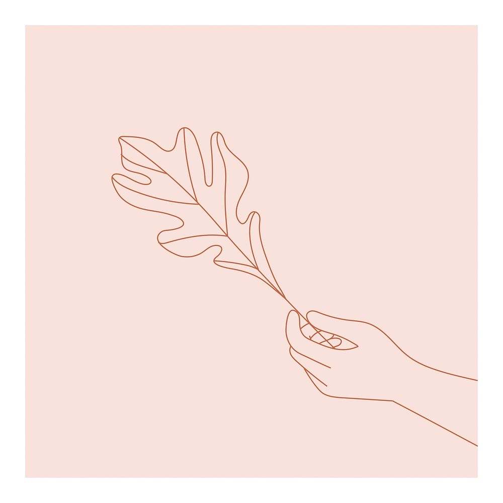 Leaf line art poster, minimal pink pastel drawing