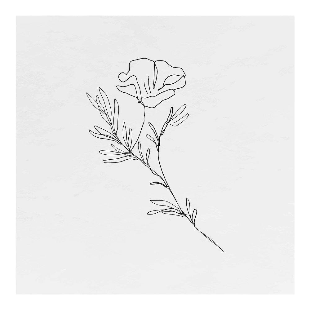 Flower wall art, minimal hand drawn illustration