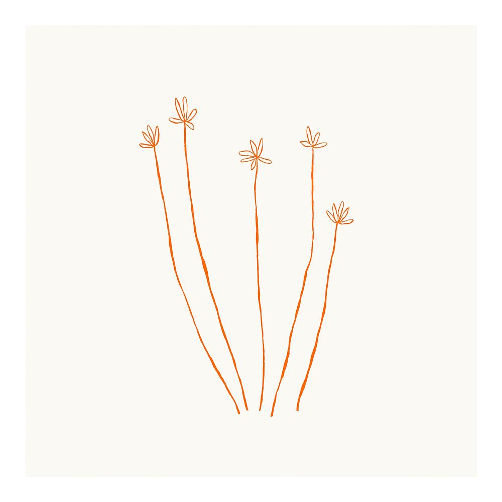 Minimal flower poster, hand drawn illustration