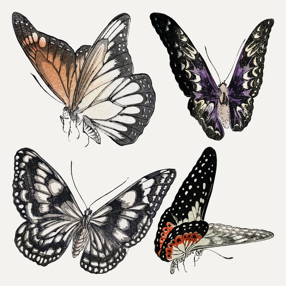 Vintage butterfly sticker, colorful animal illustration vector, remix from the artwork of Louis Renard set