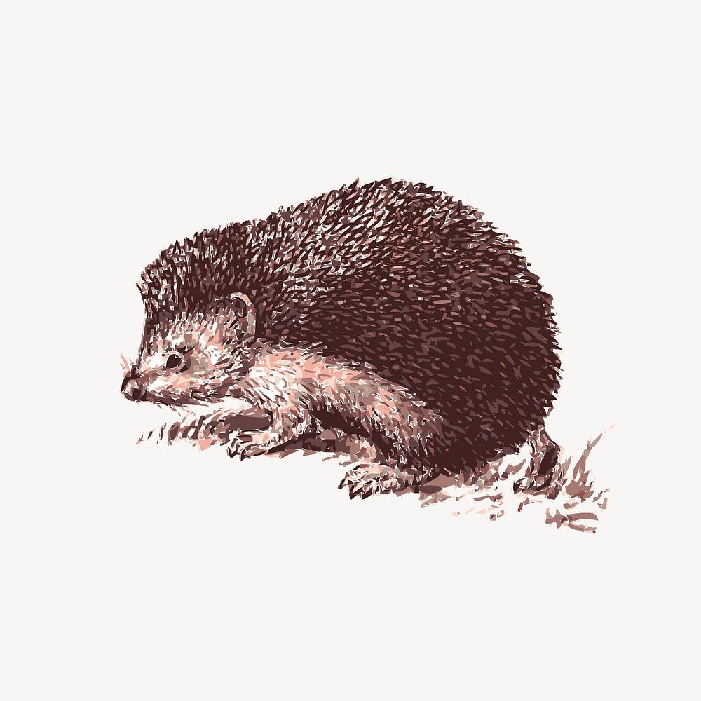 Hedgehog drawing, cute animal psd. Free public domain CC0 graphic