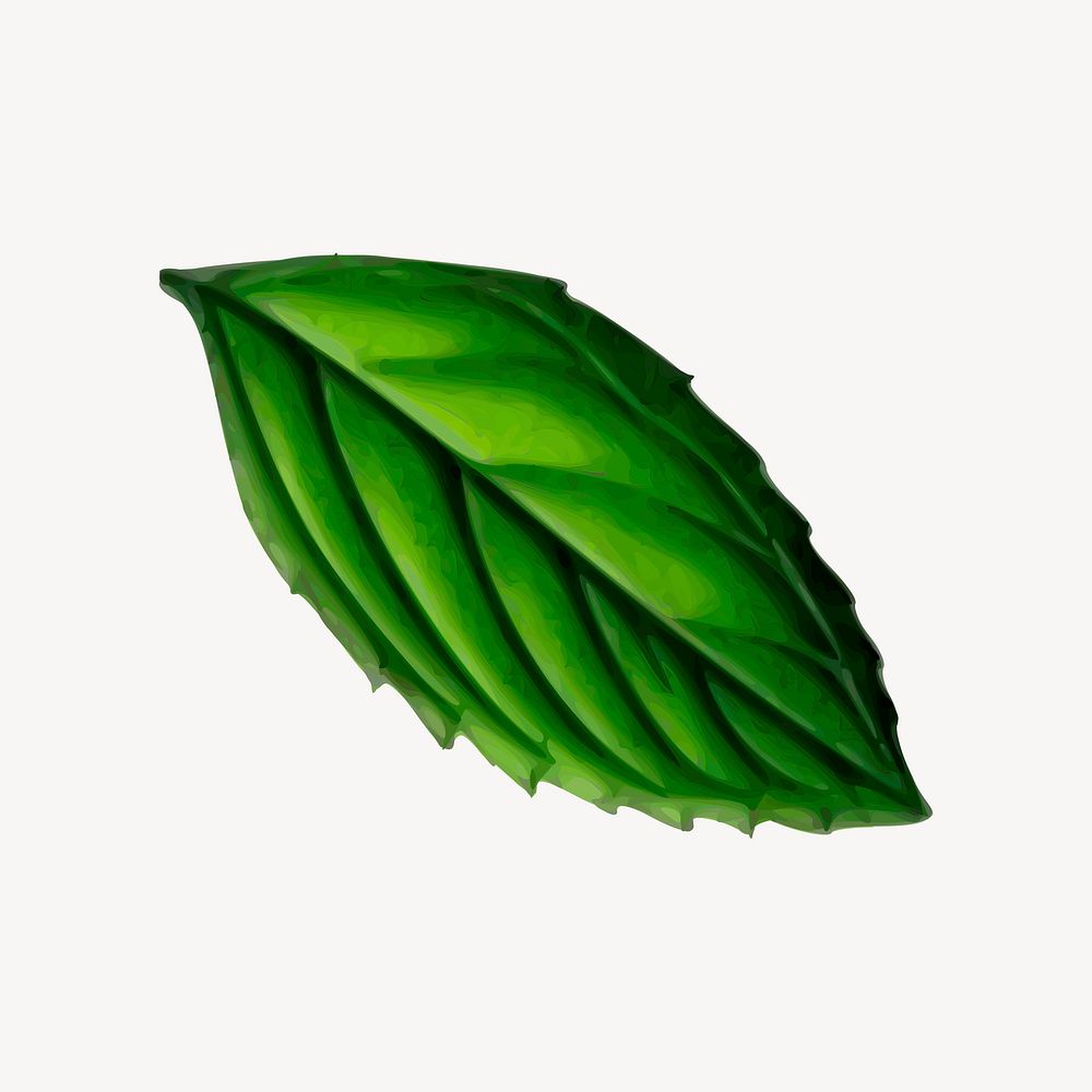 Green leaf illustration, nature design psd. Free public domain CC0 graphic