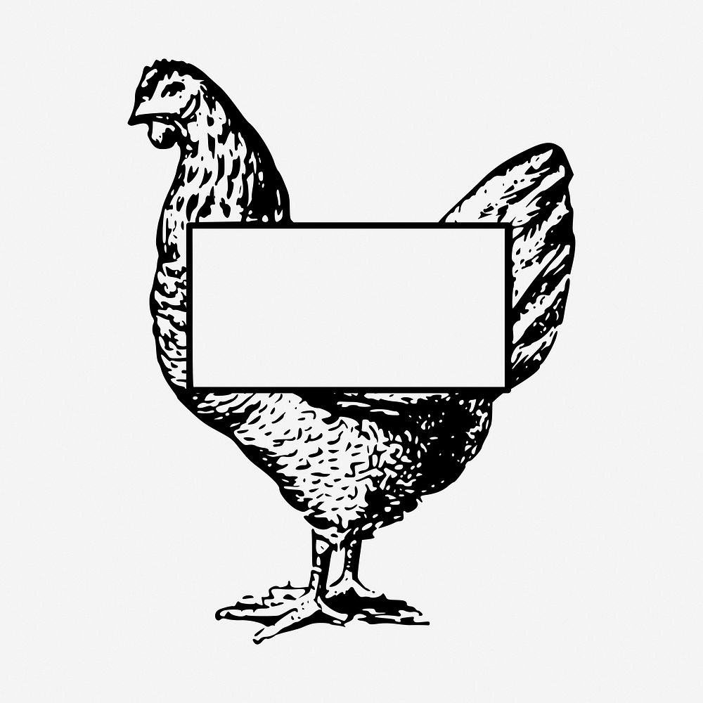 Chicken frame clipart, vintage animal illustration. Free public domain CC0 image.