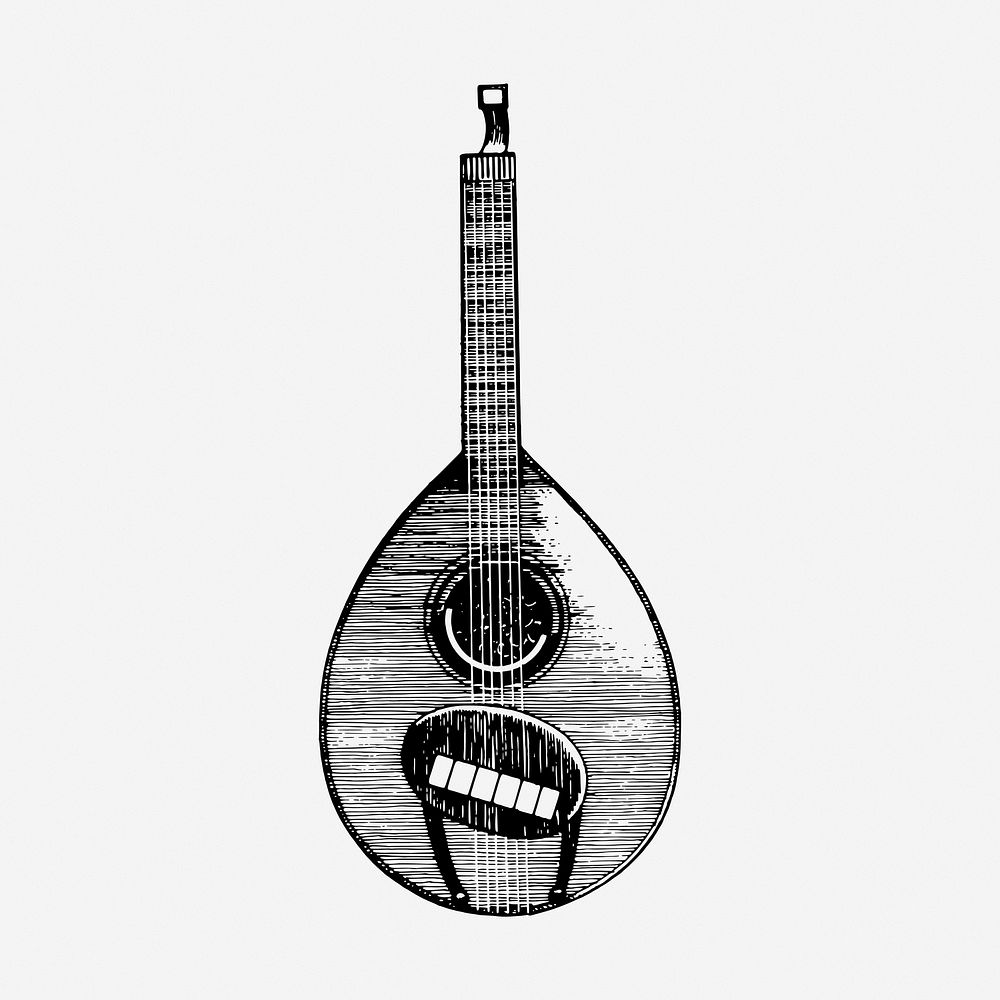 Bouzouki drawing, musical instrument illustration. Free public domain CC0 image.