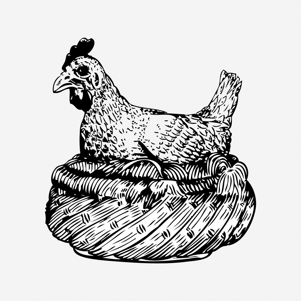 Chicken drawing, vintage animal illustration. Free public domain CC0 image.