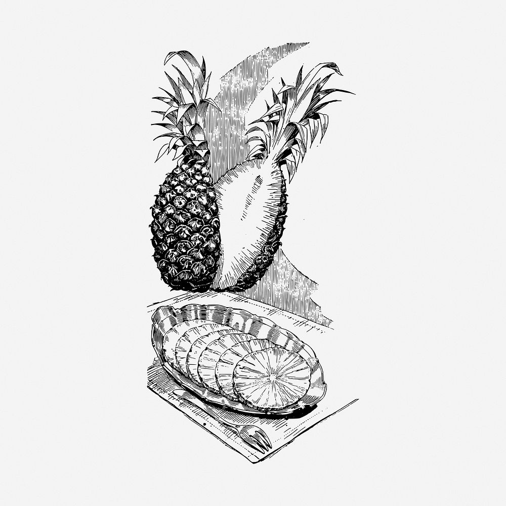 Pineapple drawing, vintage fruit illustration. Free public domain CC0 image.