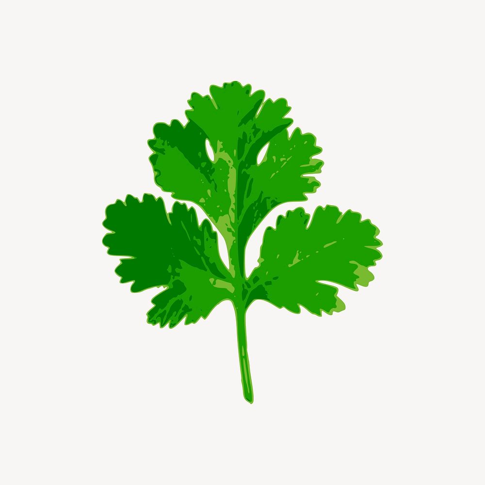 Coriander leaf clipart, vegetable illustration vector. Free public domain CC0 image.