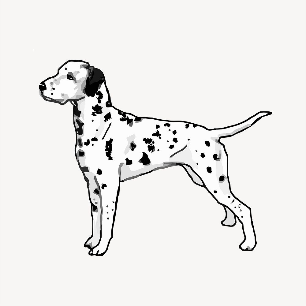 Dalmatian dog clipart, animal illustration. Free public domain CC0 image.