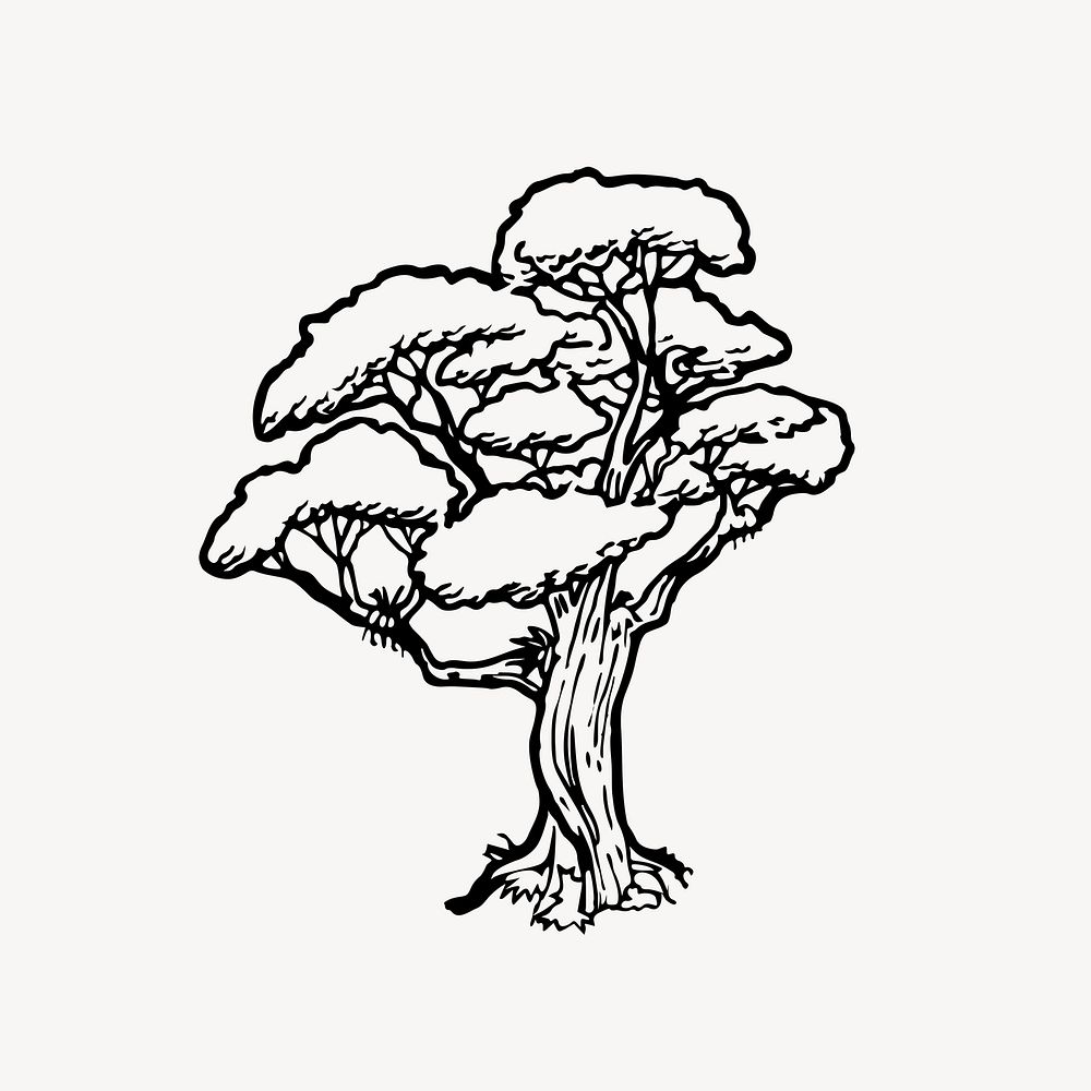 Rata tree drawing, botanical illustration vector. Free public domain CC0 image.