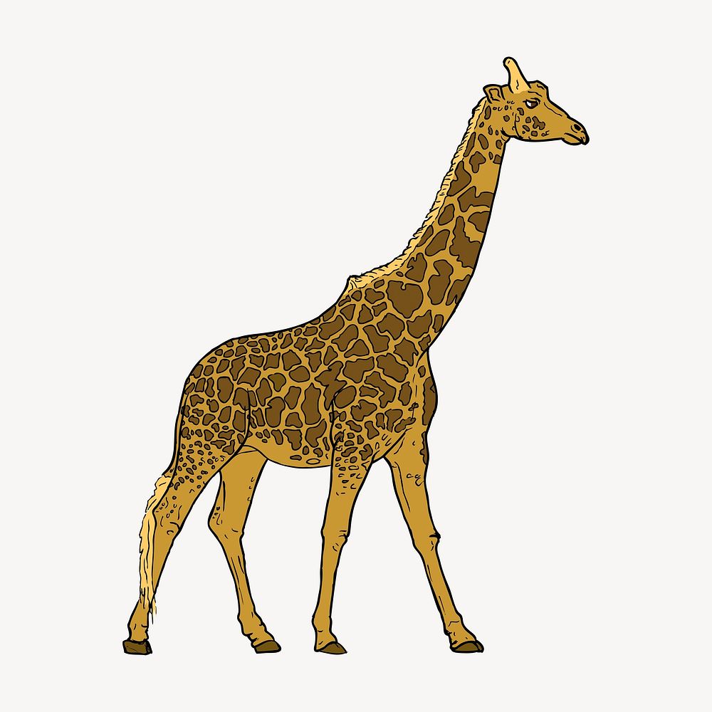 Giraffe clipart, animal illustration. Free public domain CC0 image.