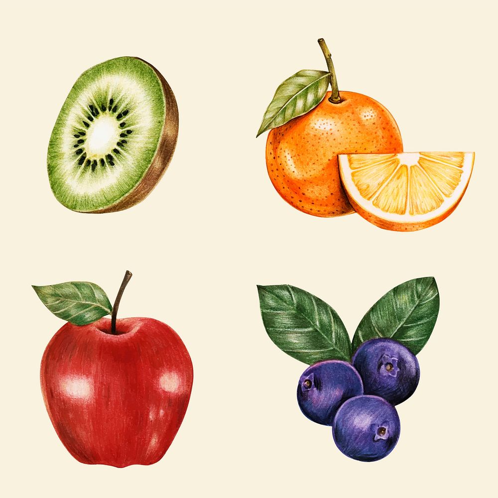 Organic fruit vintage vector hand-drawn collection