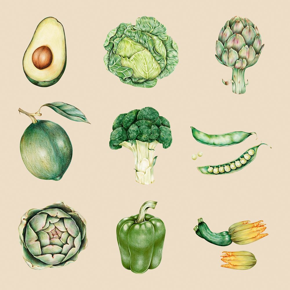 Organic food psd vegetables drawing illustration mixed