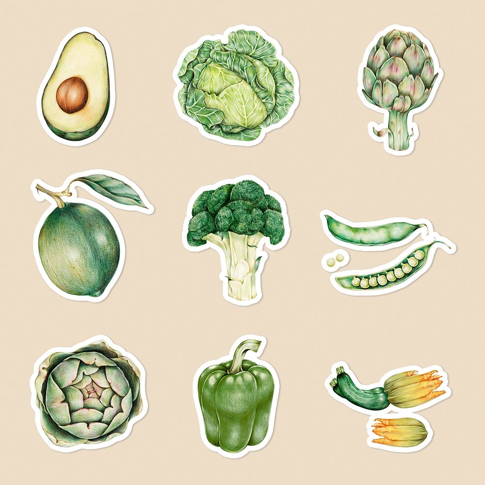 Green vegetables illustration psd organic collection