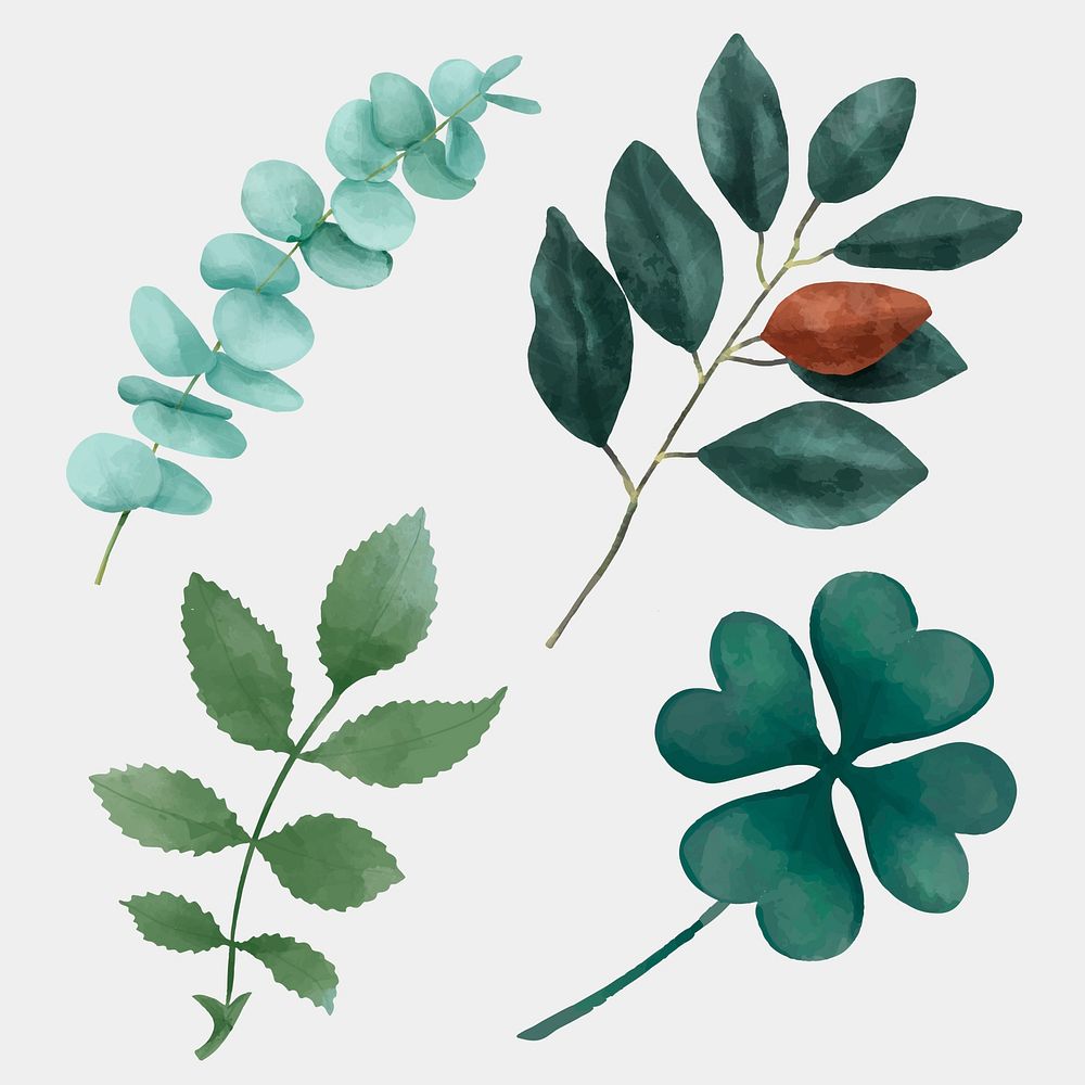 Green leaves watercolor drawing clipart collection