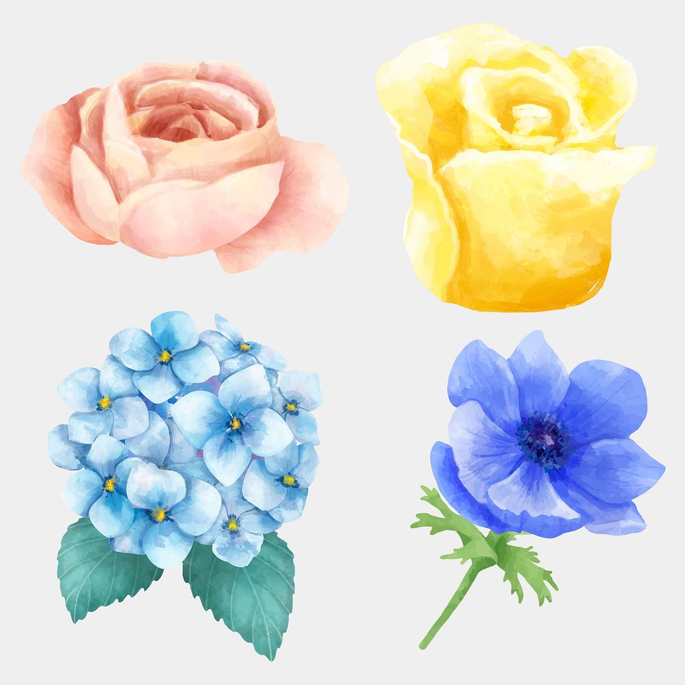 Colorful blooming flowers watercolor illustration collection
