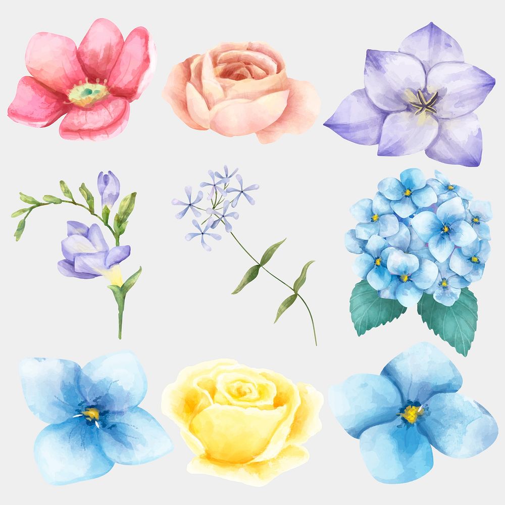 Vintage blooming flowers watercolor clipart set