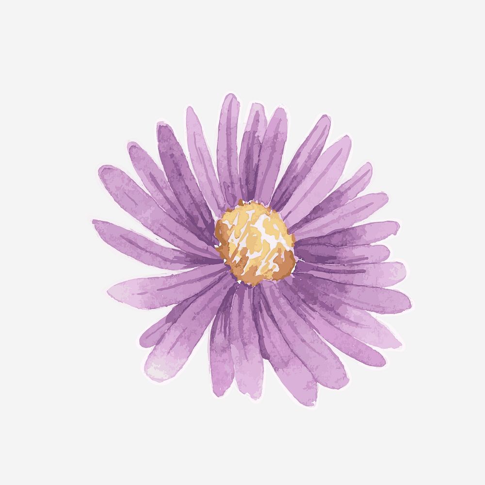 Watercolor purple daisy vector hand drawn sticker element