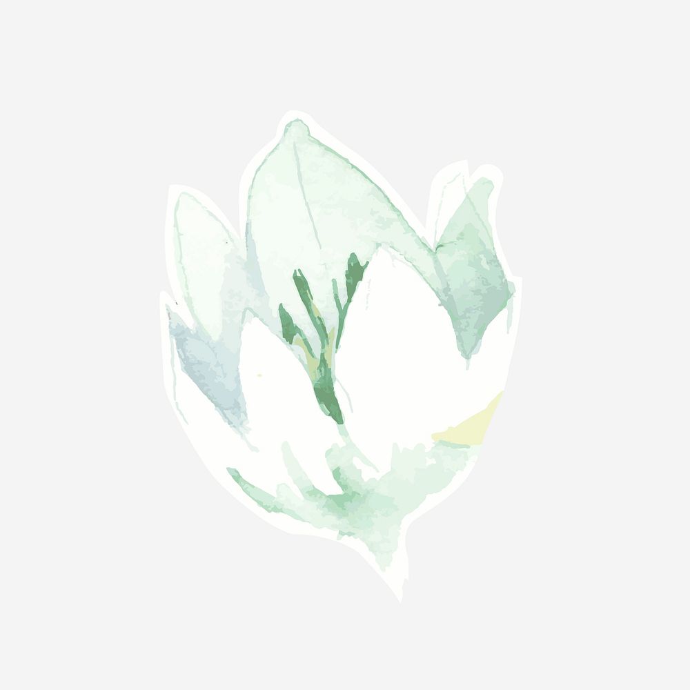 Classic white flower hand drawn watercolor 