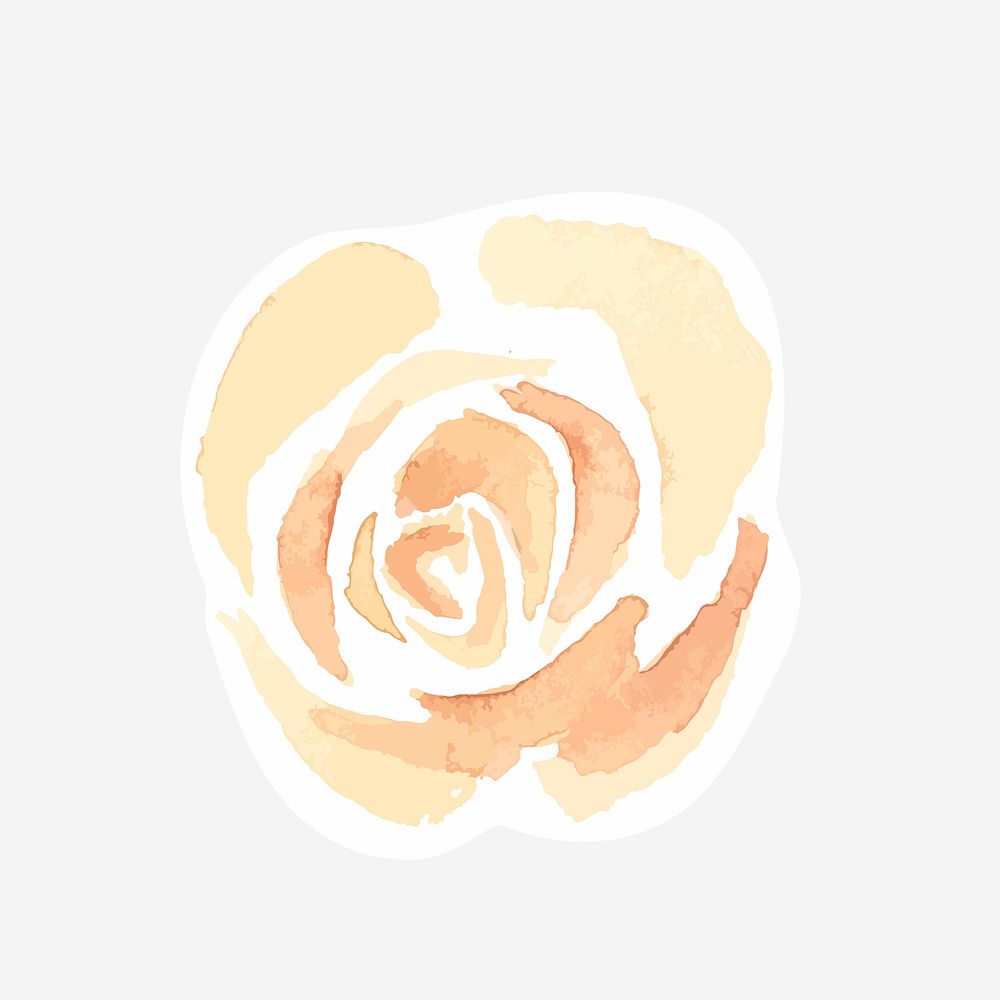Classic yellow rose hand drawn watercolor flower