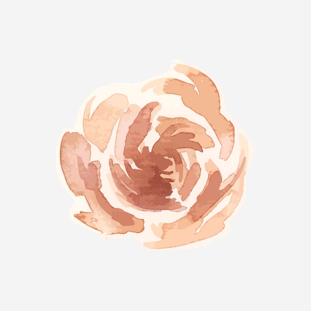 Classic pastel peony hand drawn watercolor flower