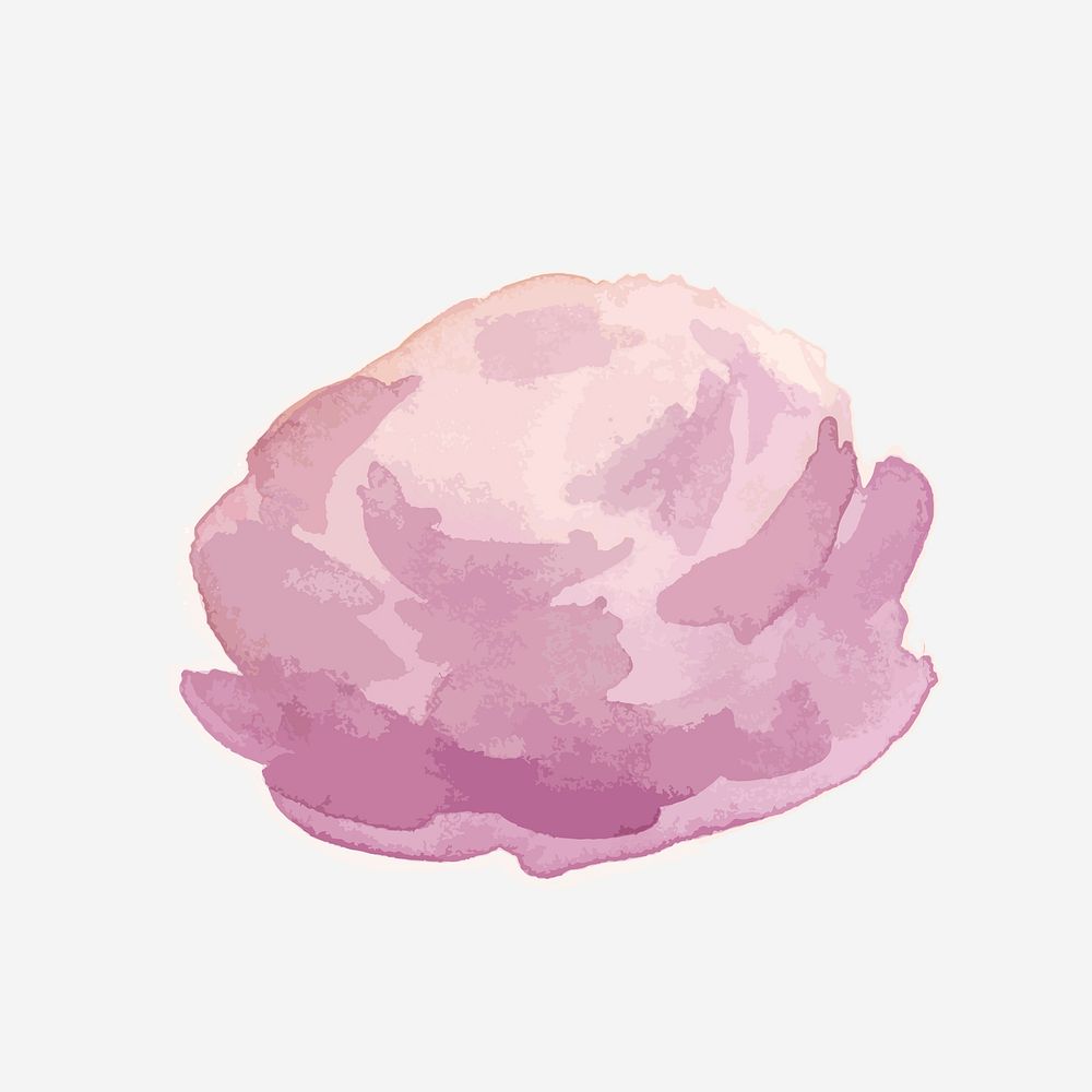 Classic pink peony hand drawn watercolor flower