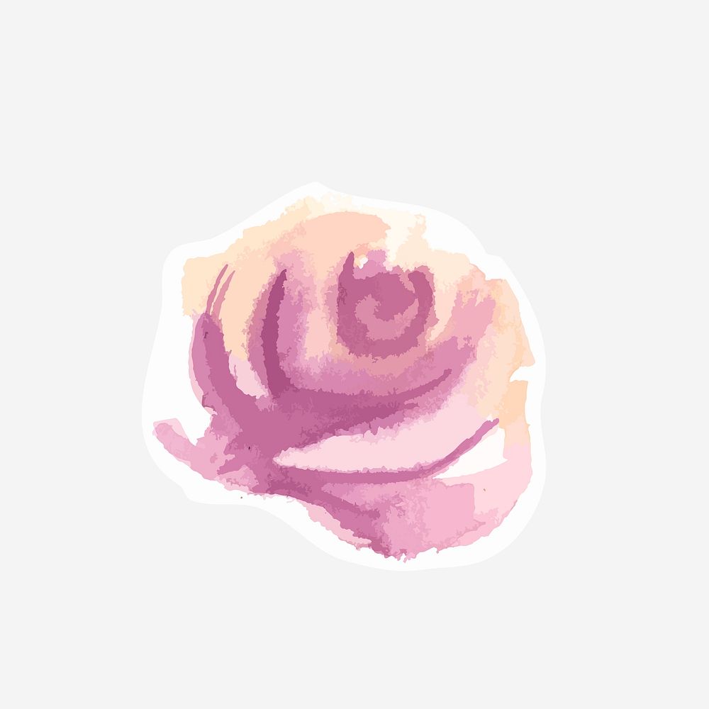Classic purple rose hand drawn watercolor flower
