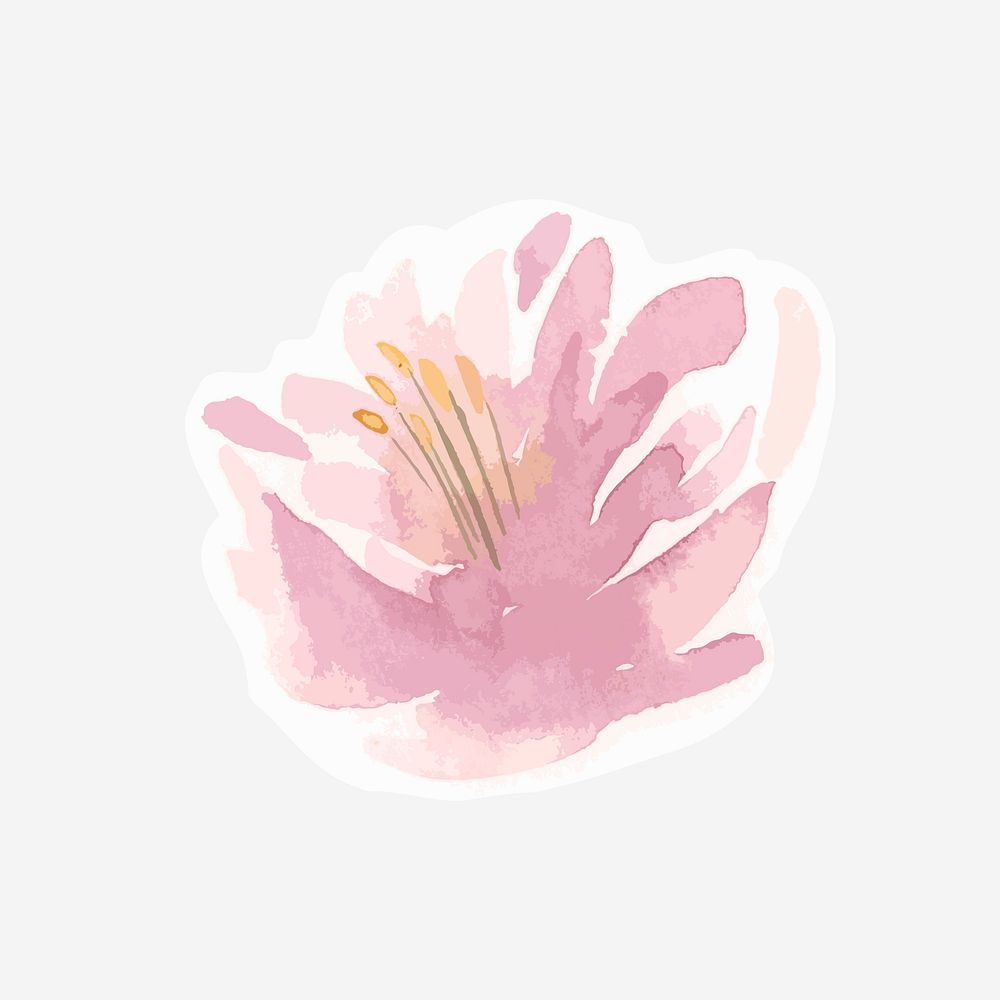 Classic pink flower hand drawn watercolor flower
