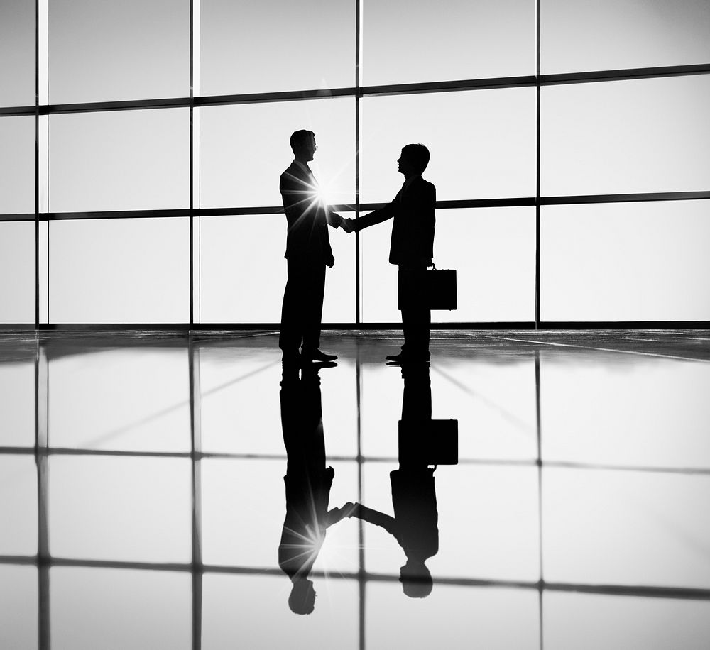 Two Businessmen Handshaking in the Office