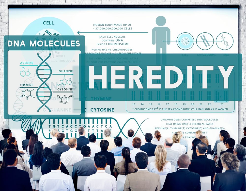 Heredity Biology Chromosome Molecular Science Concept