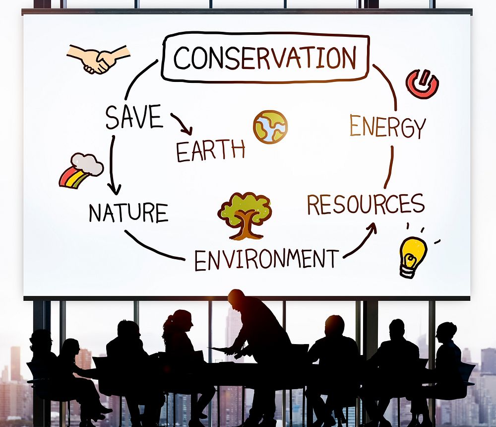 Conservation Environment Earth Ecology Concept