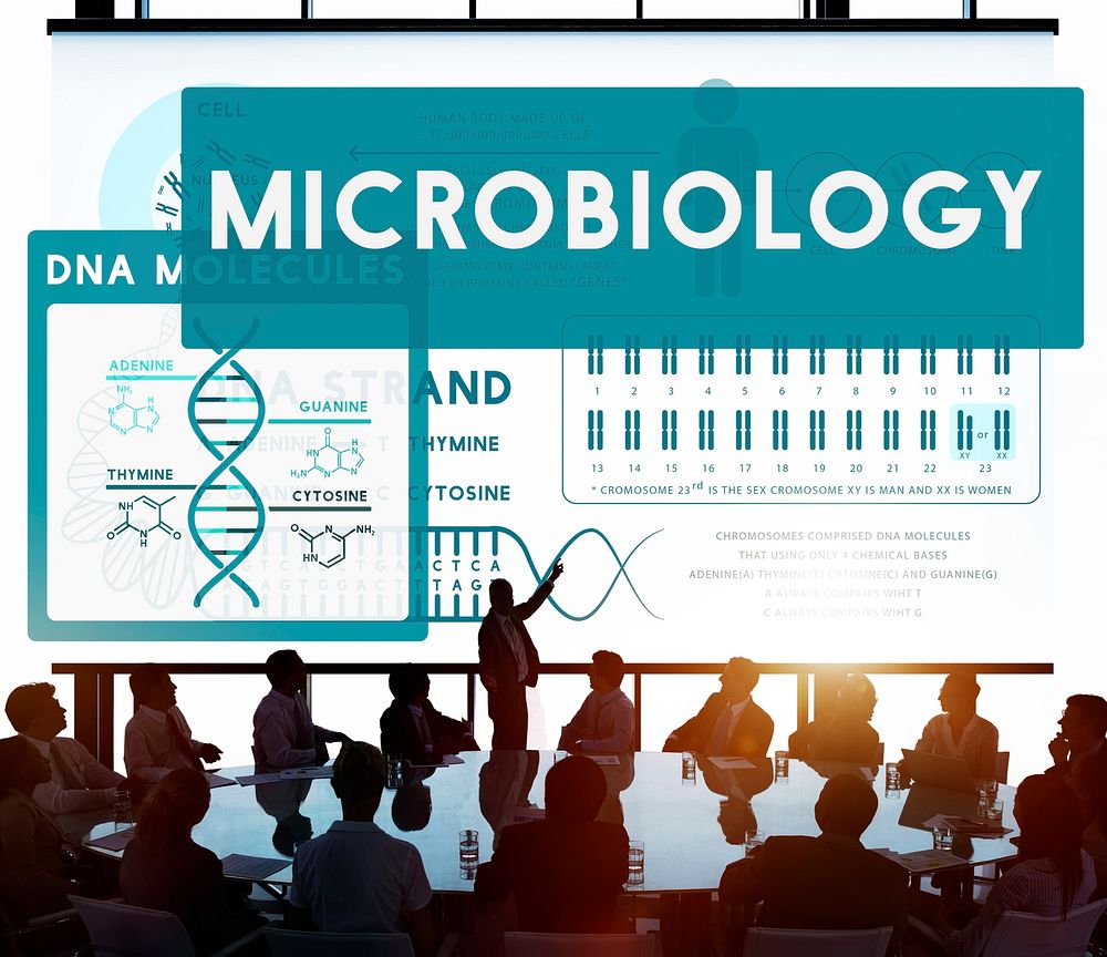 MicroBiology Bacteria Disease Illness Laboratory | Photo - rawpixel