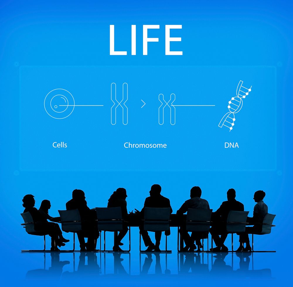 Chromosome DNA Icons Business People silhouette