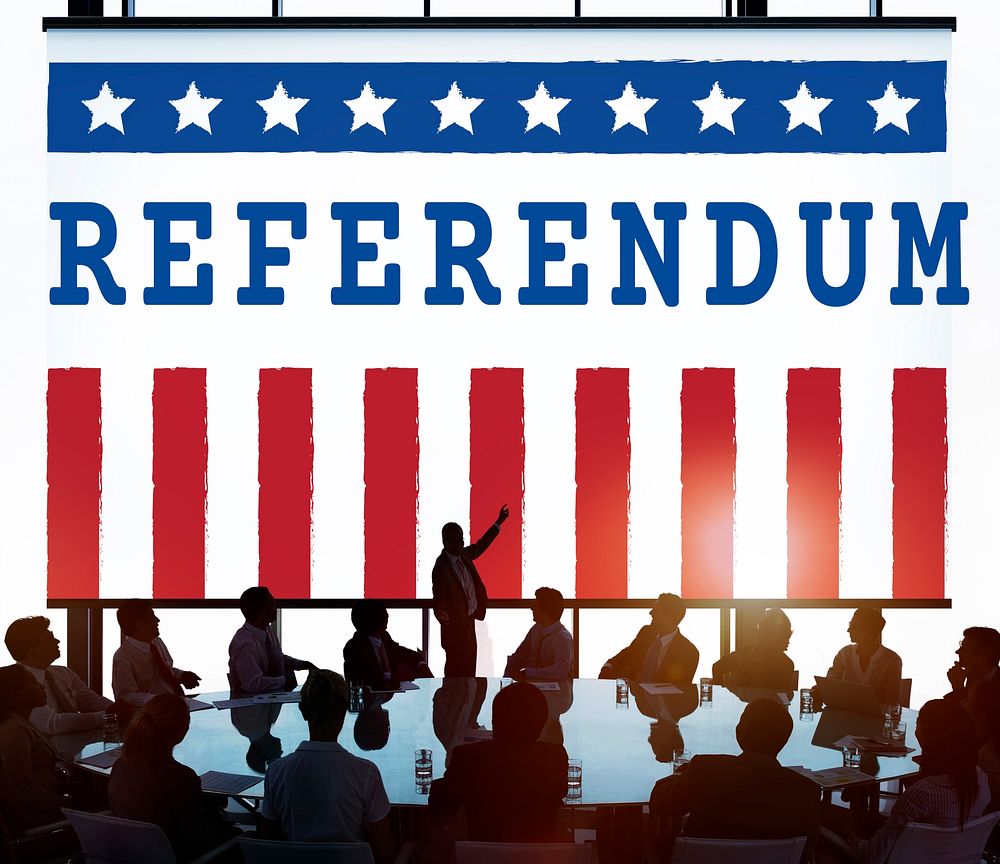Politics Government Referendum Democracy Vote Concept