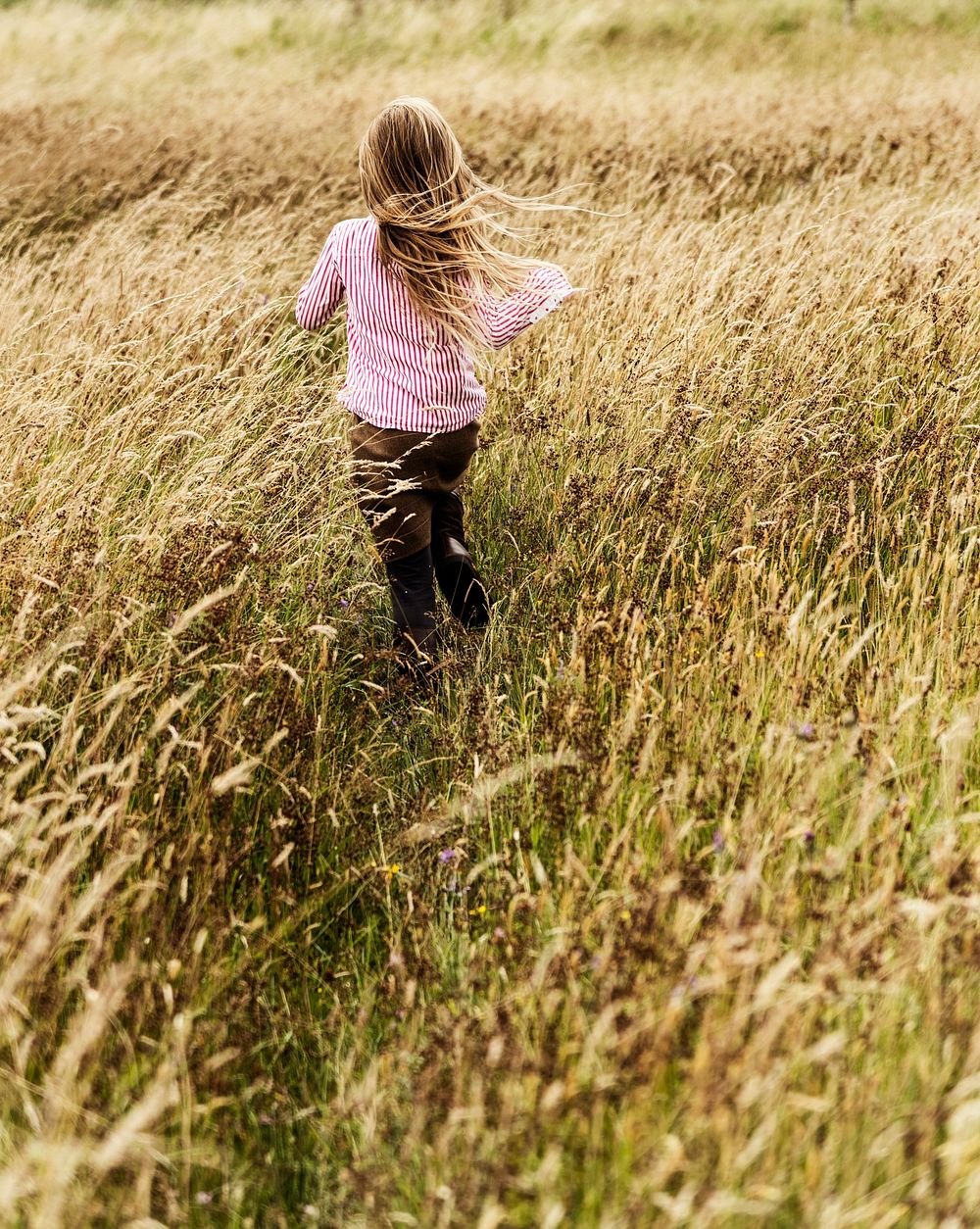 Little Girl Grassland Nature Outdoors Concept