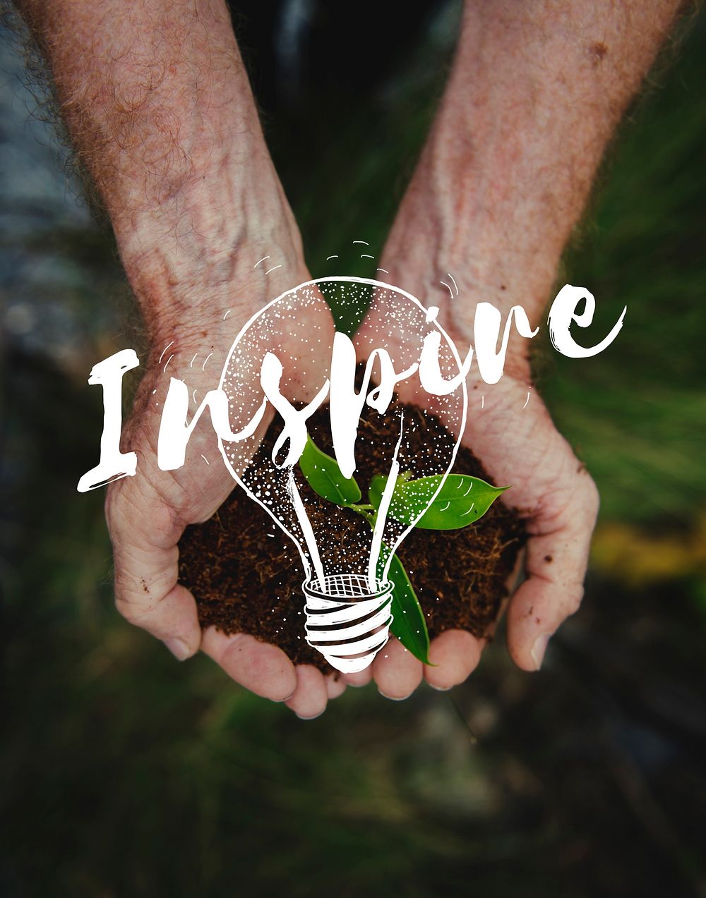 Hands Cupping Little Tree with Inspiration Word Light Bulb Graphic
