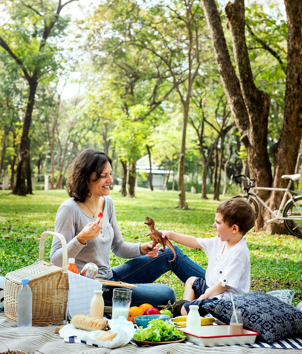 Family having a picnic in the park