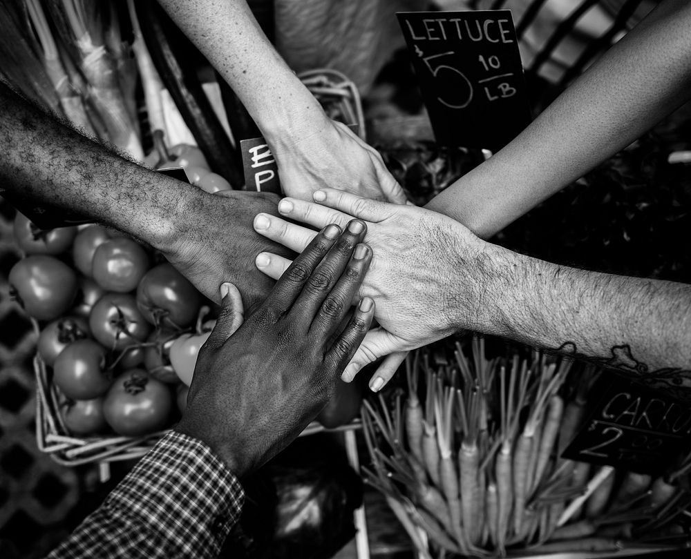 Group of Diverse People Hands Out Together Teamwork