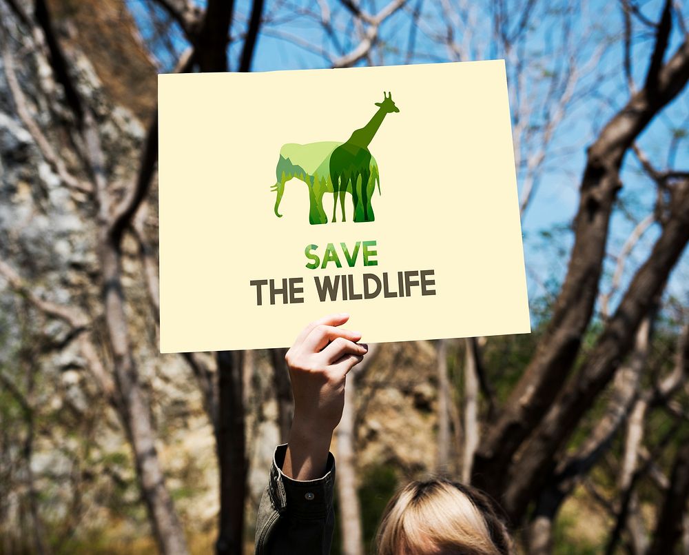 Save Wildlife  Animals Protect Support Graphic
