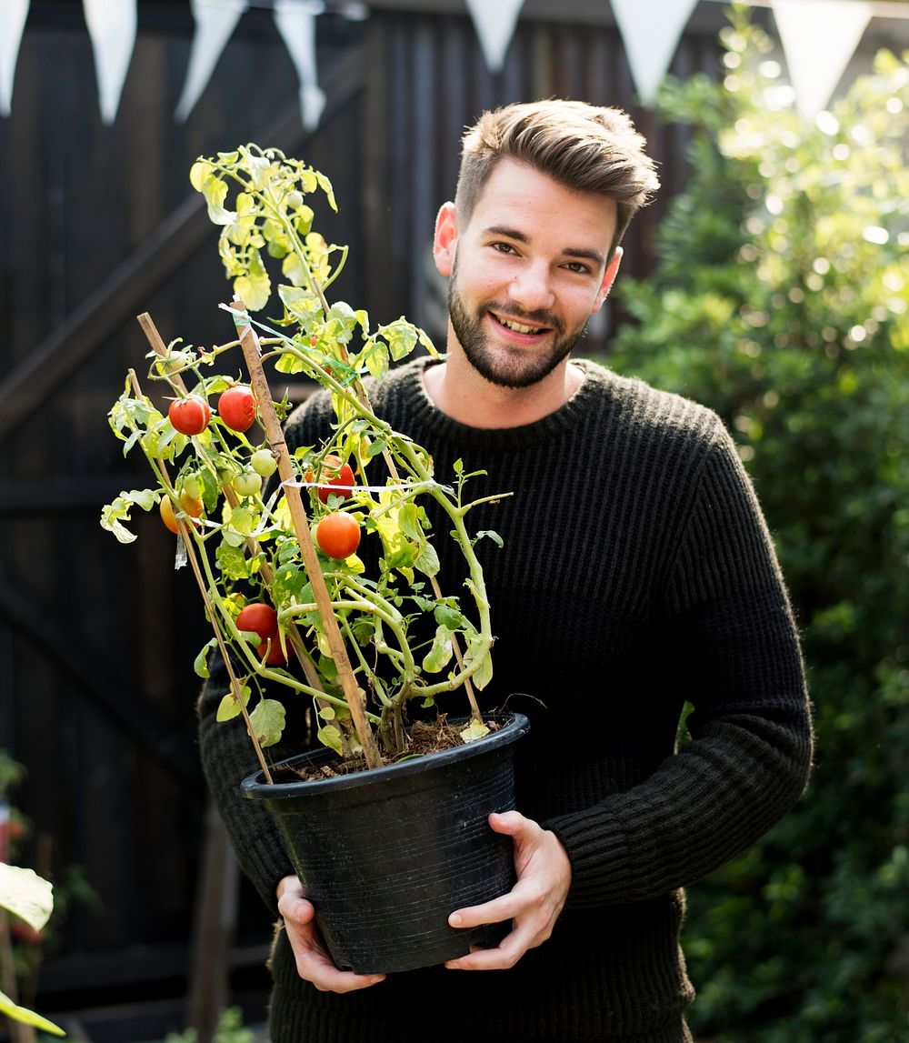 Man holding pot of organic fresh agricultural tomato