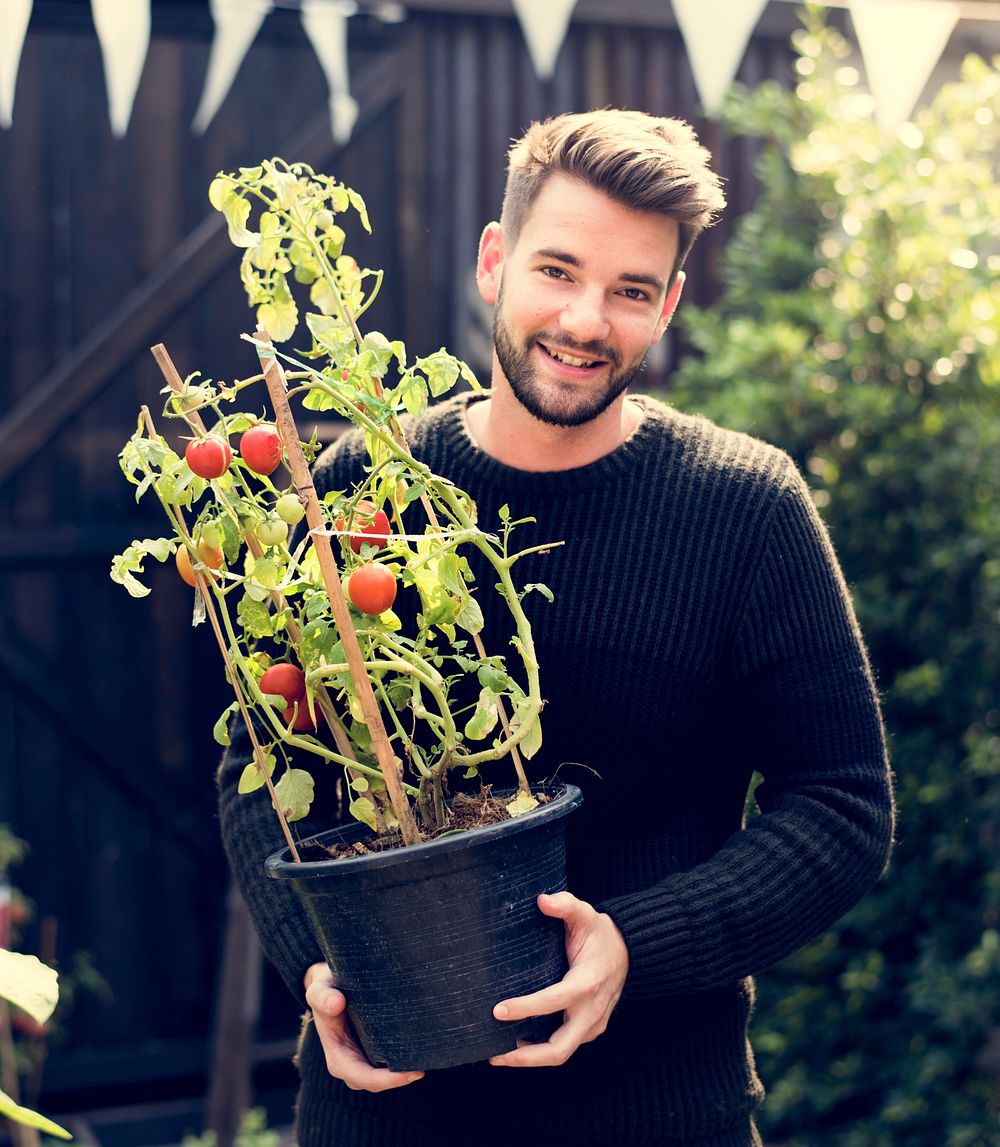 Man holding pot of organic fresh agricultural tomato