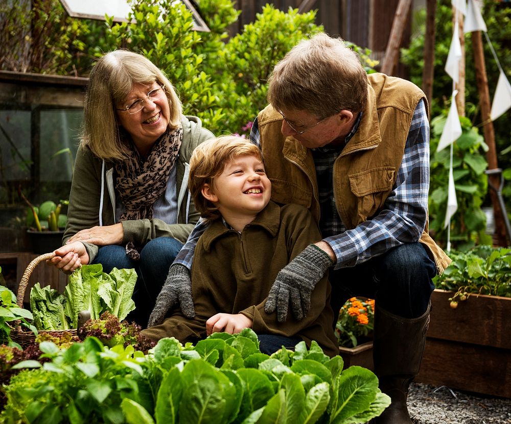 Family gardening tranplanting outdoors together