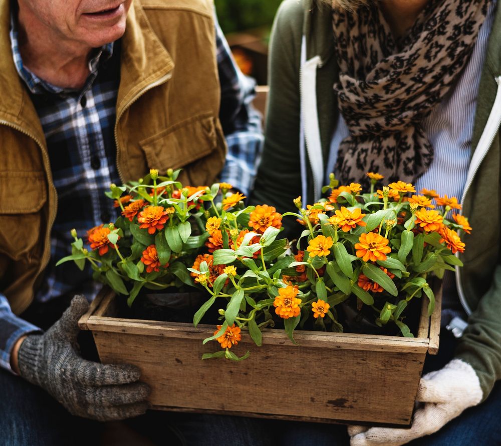 Senior adult couple holding flower pot together